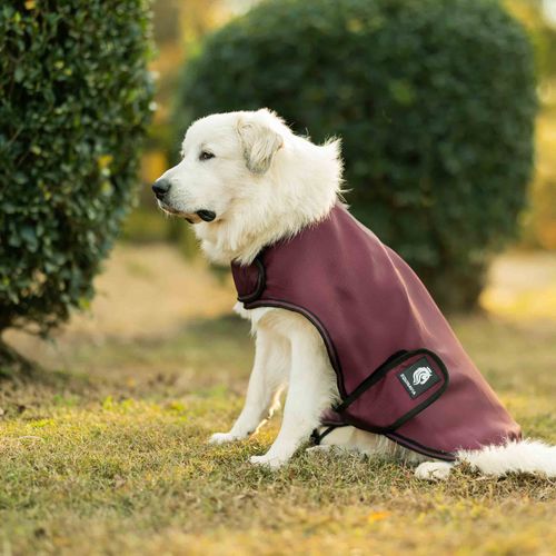 Equinavia Norse Dog Turnout Blanket 200g - Burgundy
