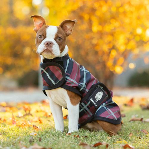 Equinavia Norse Dog Turnout Blanket 200g - Navy/Burgundy