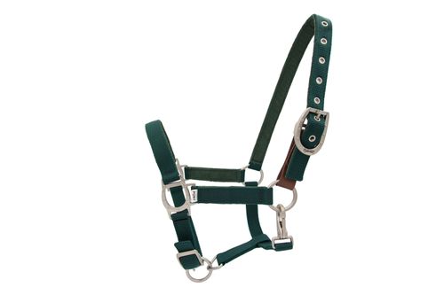 Ovation Lucky Adjustable Breakaway Halter - Hunter Green