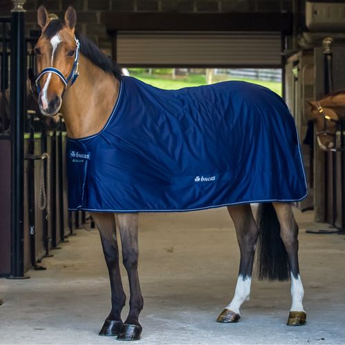 Bucas Classic Power Cooler - Navy