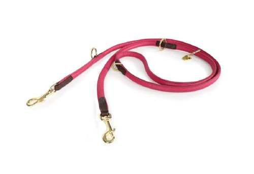 Digby & Fox Rolled Leather Training Lead - Pink