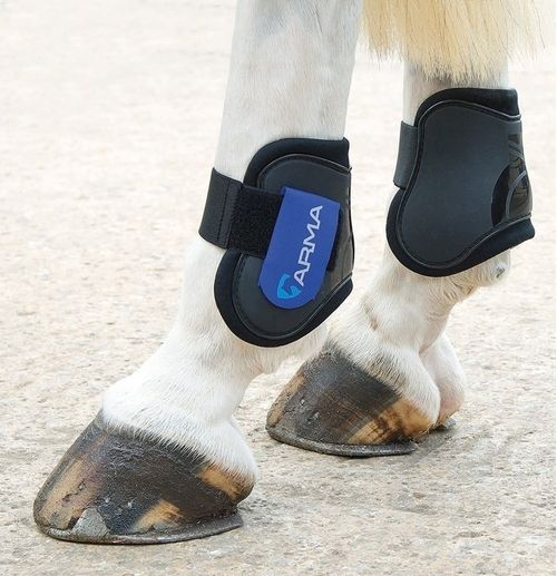 Shires ARMA Fetlock Boots - Black/Royal Blue