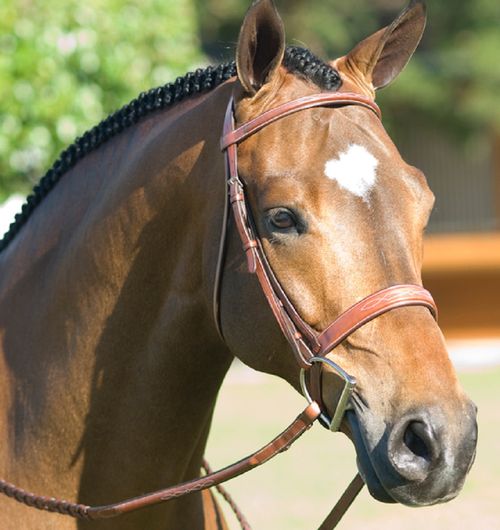 Pessoa Rodrigo Fancy Wide Show Bridle - Medium Brown