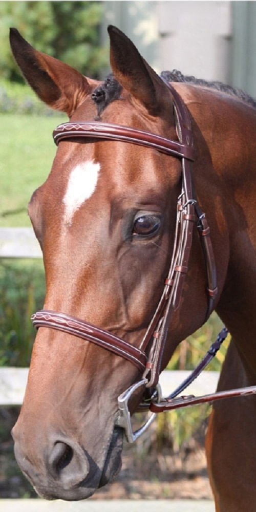 Nunn Finer Ravenna Hunter Bridle - Havana