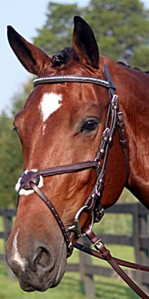 Nunn Finer Figure 8 Clincher Browband Padded Event Bridle - Havana/Zinc