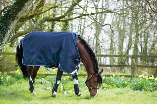 Amigo Bravo 12 Turnout w/Leg Arches 0g - Navy/Navy/White
