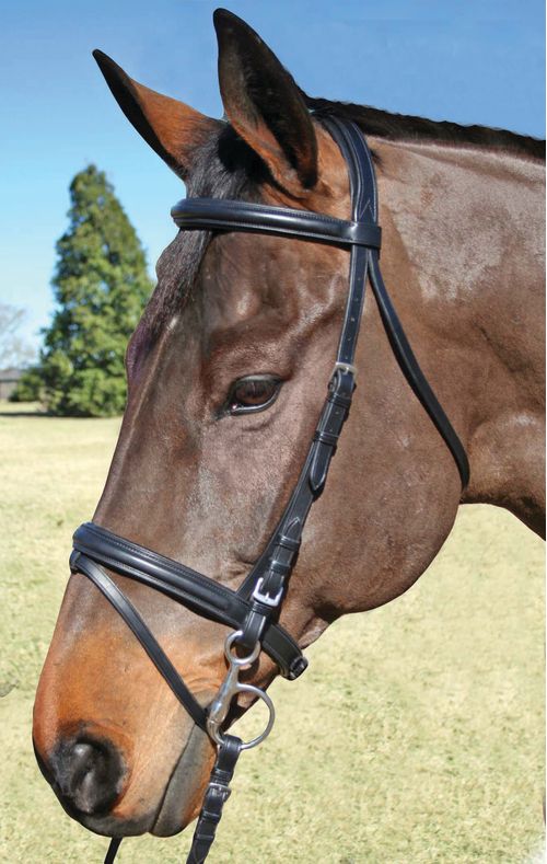 Nunn Finer Brentina Sewn in Flash Dressage Bridle - Black/Zinc