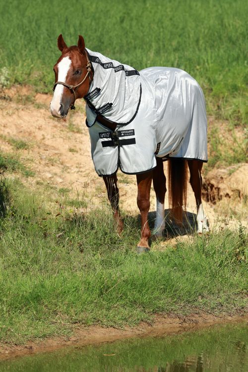 Amigo Stock Horse Flysheet - Silver/Black