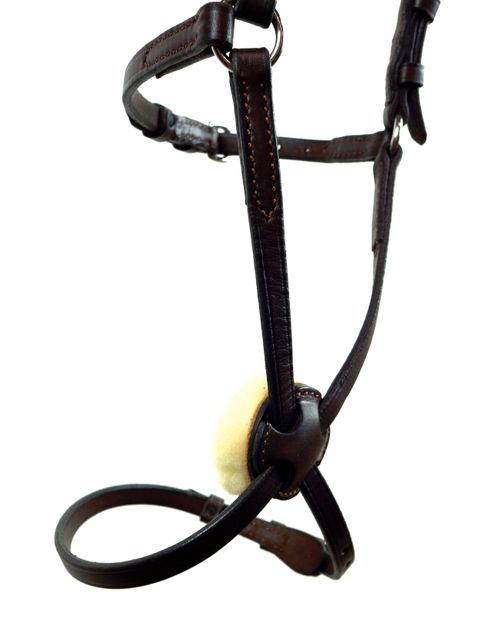 Nunn Finer Figure 8 with Rings - Havana/Brass