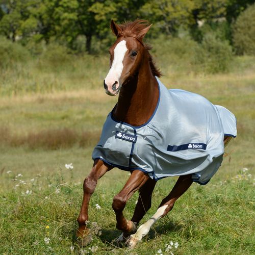 Bucas Classic Buzz Off Fly Sheet - Silver/Navy