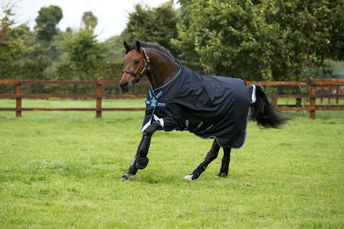 Amigo Bravo 12 Original Turnout 0g - Navy/Navy/White
