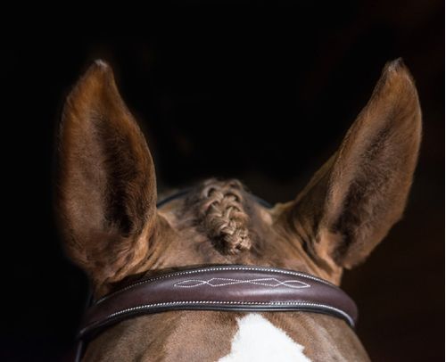 Pessoa PRO Fancy Stitched Tapered Noseband Bridle - Dark Brown