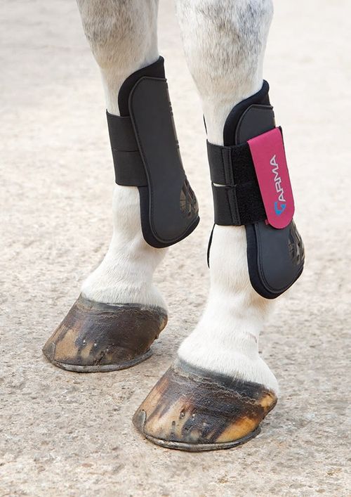 Shires ARMA Tendon Boots - Black/Raspberry