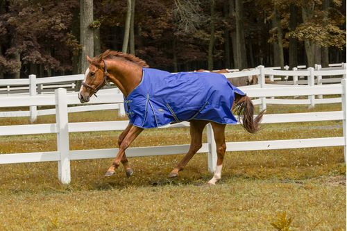 TuffRider 600 D Comfy Turnout Blanket - Royal