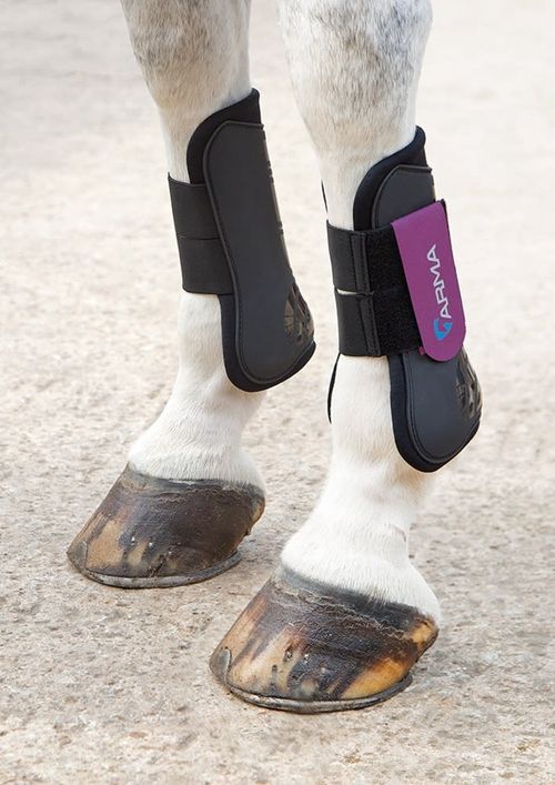 Shires ARMA Tendon Boots - Black/Plum