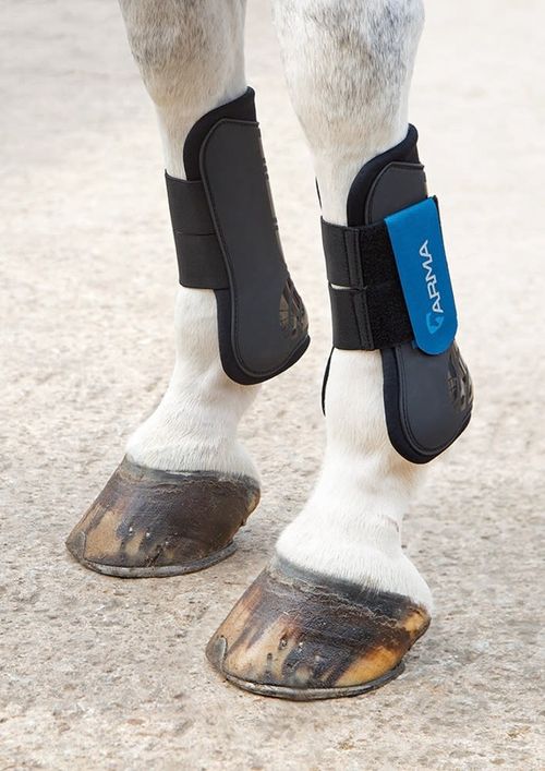 Shires ARMA Tendon Boots - Black/Royal Blue