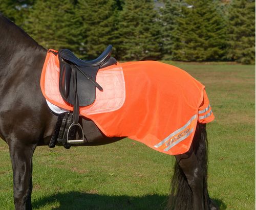 Shires Equi-Flector Mesh Exercise Sheet - Orange