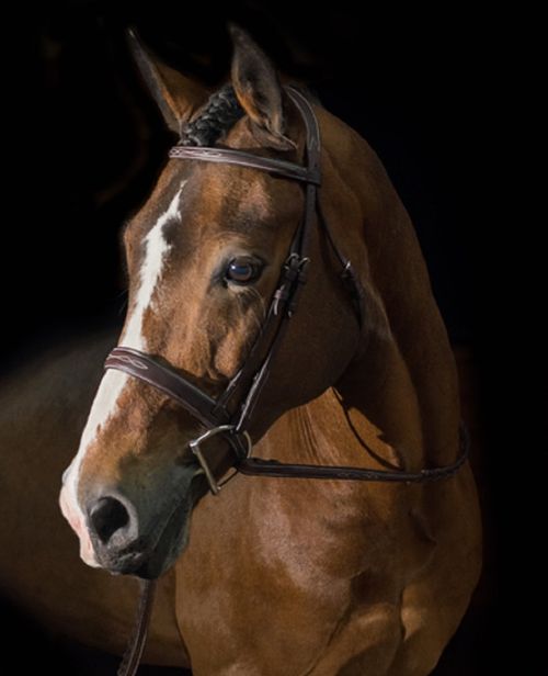 Pessoa PRO Fancy Stitched Wide Noseband Bridle - Dark Brown