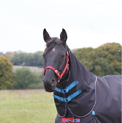 Shires Highlander Plus 200G Neck Cover - Navy