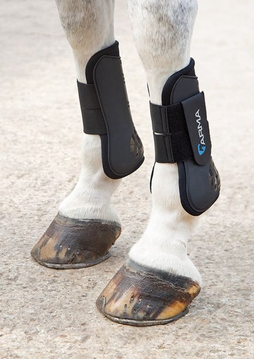 Shires ARMA Tendon Boots - Black