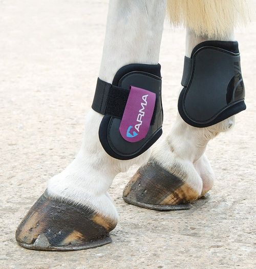 Shires ARMA Fetlock Boots - Black/Plum