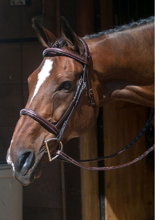 Nunn Finer Florence Hunter Bridle - Havana