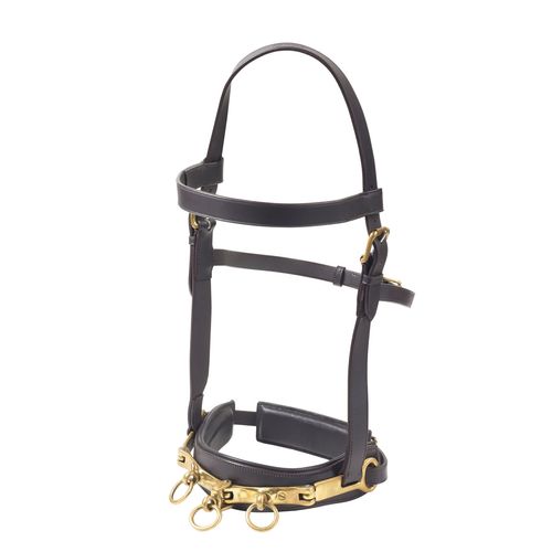 Camelot Leather Lunge Caveson - Brown