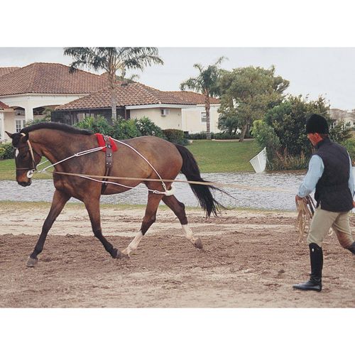 Pessoa Lunging System - Natural