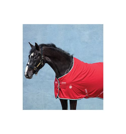 Amigo Polyester Stable Sheet - Red/White/Green/Black