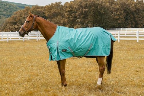 TuffRider 1200 D Comfy Turnout Blanket - Turquoise