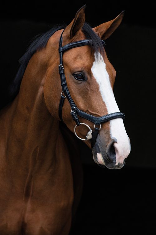 Rambo Micklem Original Deluxe Competition Bridle - Black