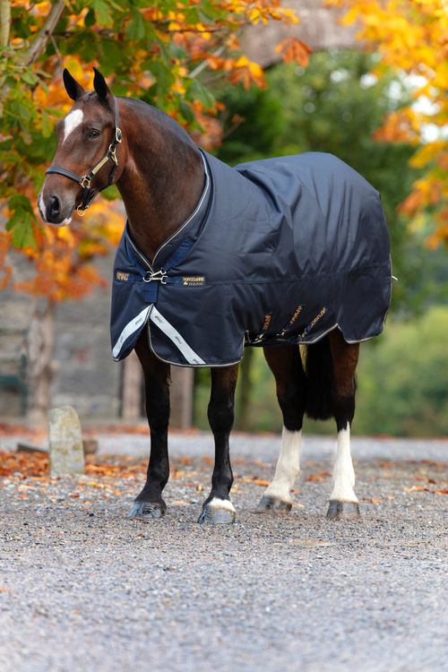 Amigo Bravo 12 XL Original Turnout Medium - Navy/Navy/Gold