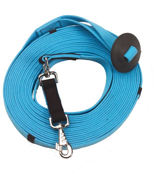 Centaur Cotton Web 35ft Lunge w/Donut - Turquoise