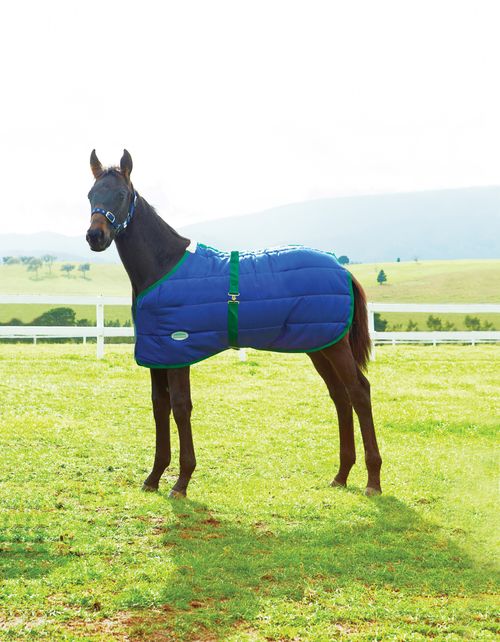 Weatherbeeta 420D Foal Standard Neck Medium - Navy/Hunter