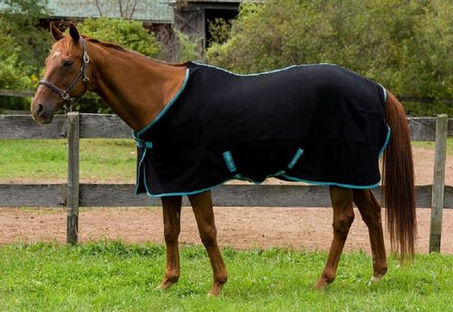 TuffRider Cooler Sheet - Black