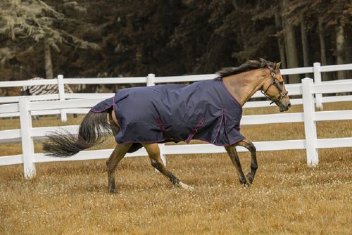 TuffRider 1200 D Comfy Turnout Blanket - Navy