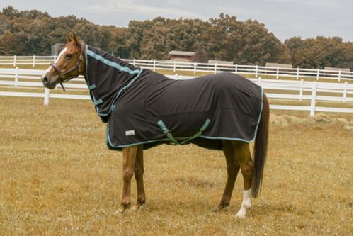 TuffRider Cooler Sheet Combo - Black