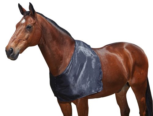 Weatherbeeta Satin Shoulder Guard - Black