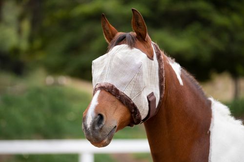 Kensington Fly Mask w/Plush Fleece Trim - Desert Sand