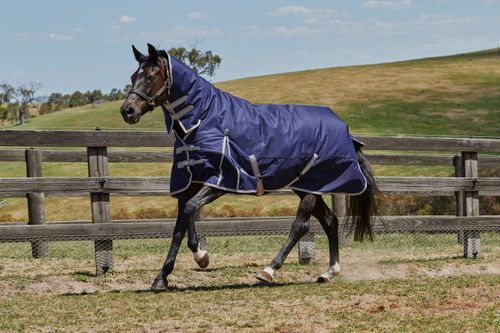 Weatherbeeta Comfitec Essential Combo Neck Medium Turnout - Navy/Silver/Red