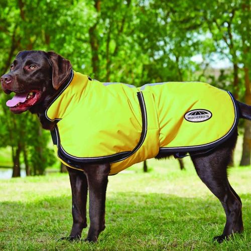 Weatherbeeta 300D ReflectiveParka Deluxe Dog Coat - Yellow