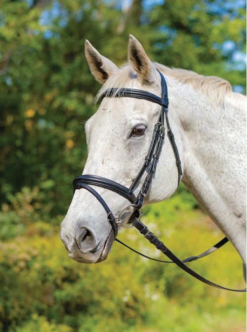 Shires Avignon Louisville Bridle - Black