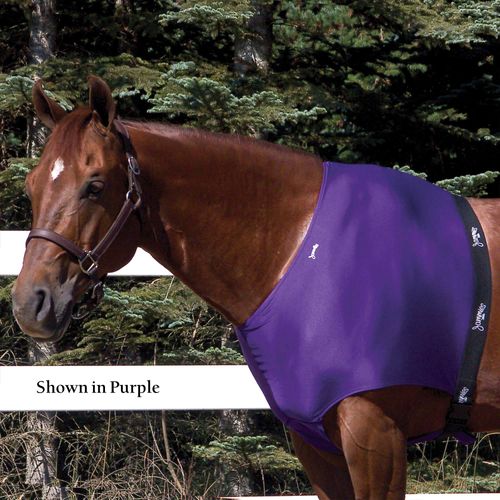 Jammies Designer Shoulder Guard - Purple