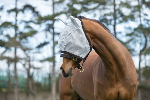 Amigo Fly Mask - Silver/Dark Grey