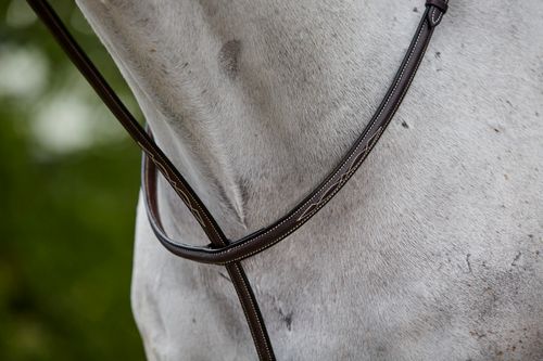 Collegiate Fancy Stitched Raised Standing Martingale II - Brown