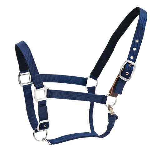 Centaur Cushion Web Breakaway Halter - Navy