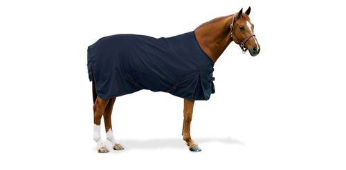 Equi-Essentials 600D Turnout Blanket 180g - Navy