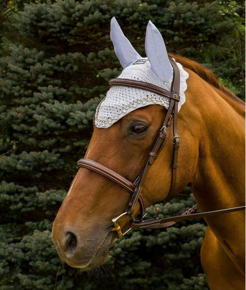 Equine Couture Fly Bonnet with Pearls and Crystals - White