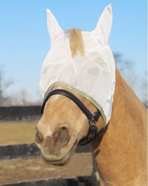 TuffRider Fly Masks with Ears - White/Sage