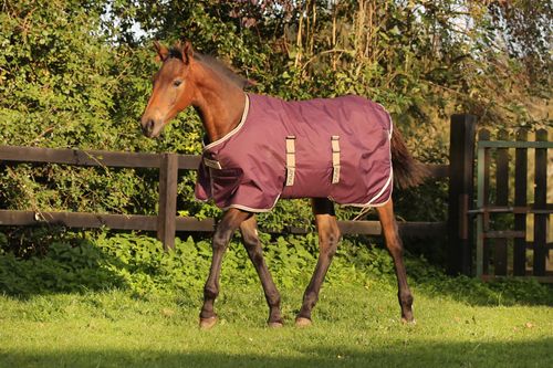 Amigo Foal Ripstock Turnout 200g - Fig/Navy/Tan